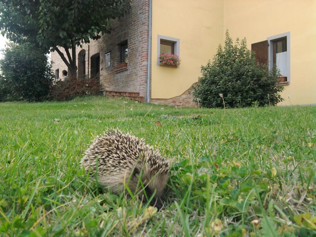 Вилла L'Olmo Di Casigliano Cessapalombo Экстерьер фото